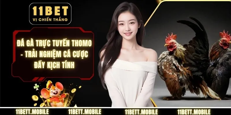 Đá gà trực tuyến thomo