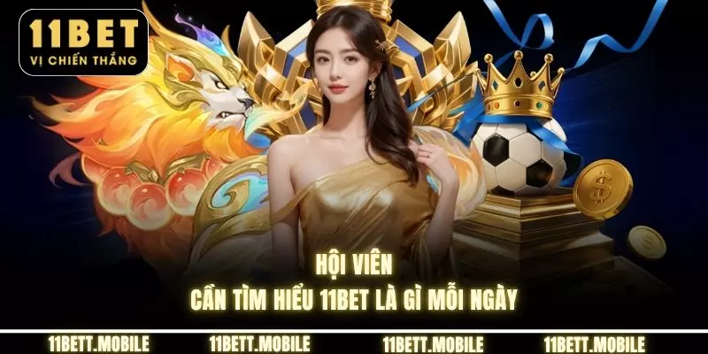 Hội viên cần tìm hiểu 11bet là gì mỗi ngày