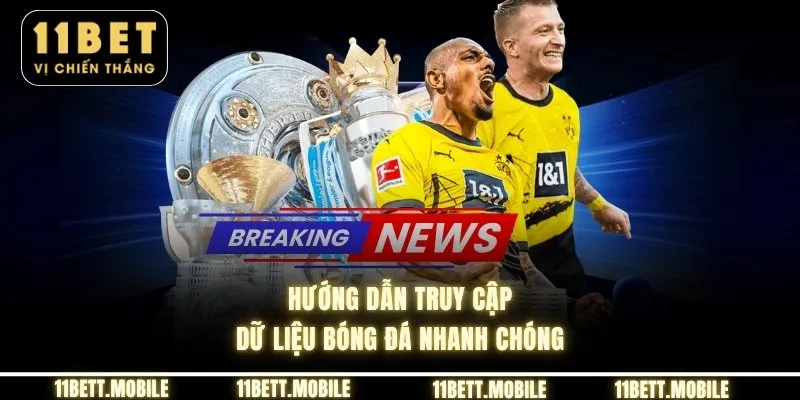 Hướng dẫn truy cập dữ liệu bóng đá nhanh chóng