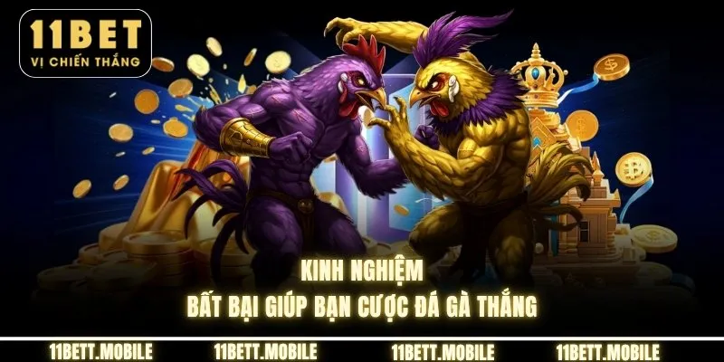 Kinh nghiệm bất bại giúp bạn cược đá gà thắng