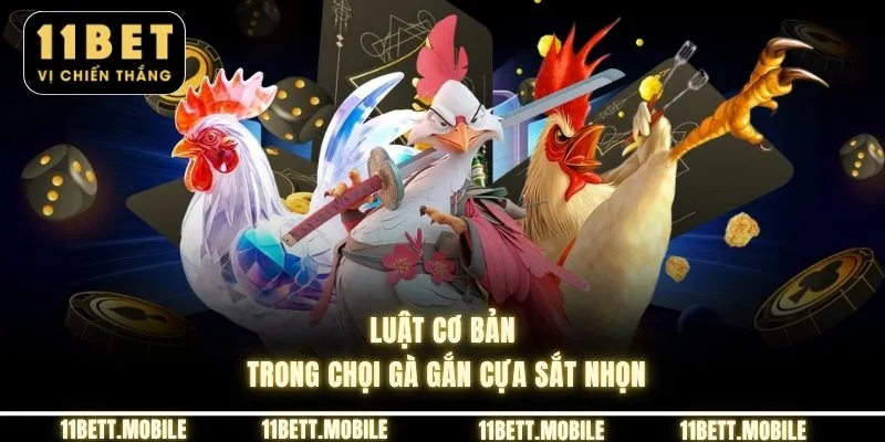 Luật cơ bản trong chọi gà gắn cựa sắt nhọn