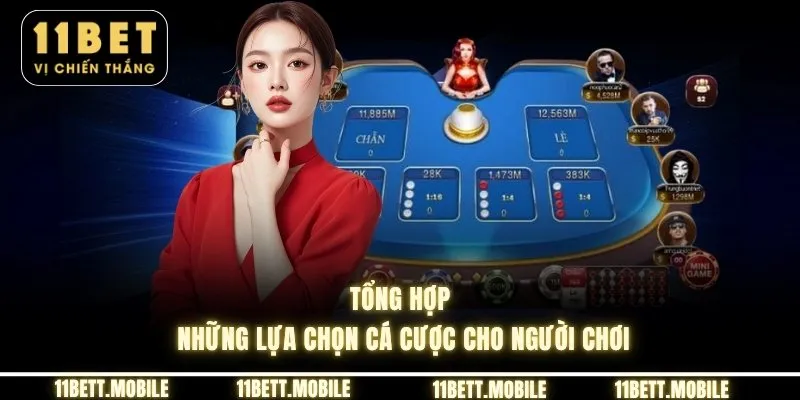 Tổng hợp những lựa chọn cá cược cho người chơi