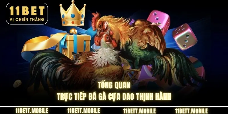 Tổng quan trực tiếp đá gà cựa dao thịnh hành