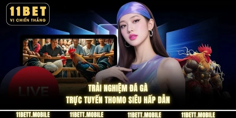 Trải nghiệm đá gà trực tuyến thomo siêu hấp dẫn