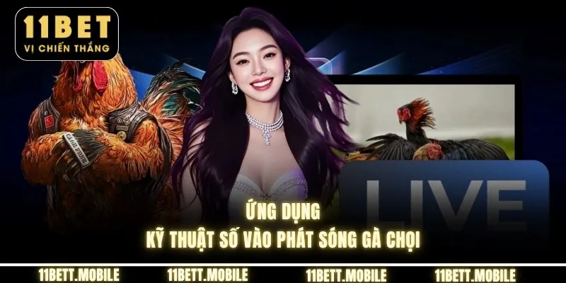 Ứng dụng kỹ thuật số vào phát sóng gà chọi